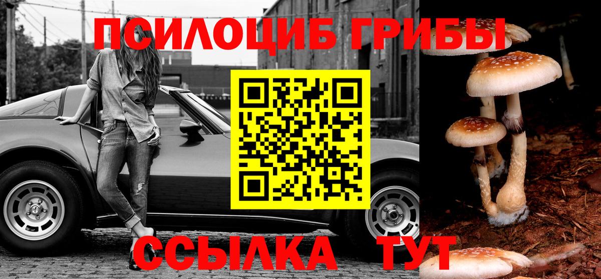 Псилоцибиновые грибы Cubensis Гусиноозёрск
