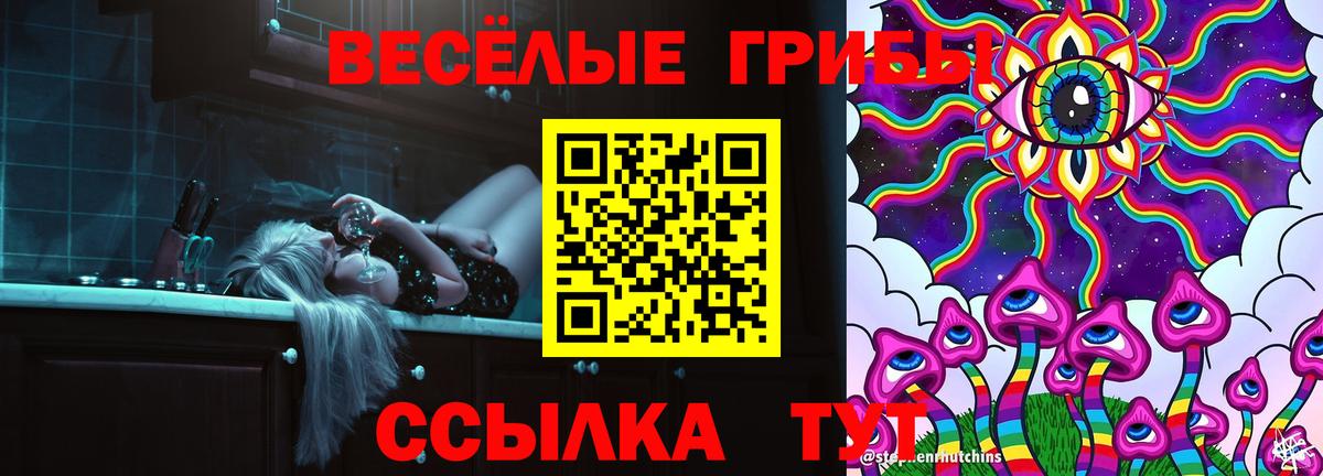 Гусиноозёрск  Галлюциногенные грибы мицелий  Вход с VPN 